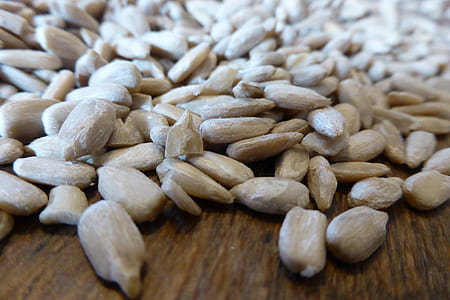 gray seeds on brown wood thumbnail