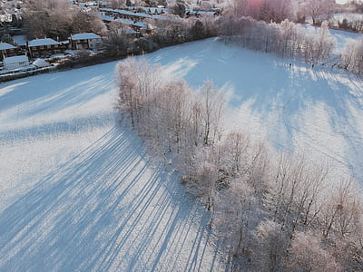 aerial photo of snow covered field with trees thumbnail