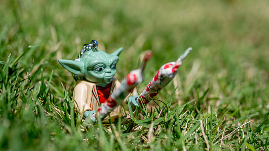 closeup photo of Master Yoda holding two joints thumbnail