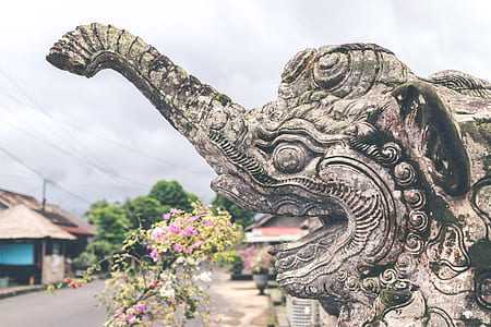 brow concrete elephant patio photo thumbnail