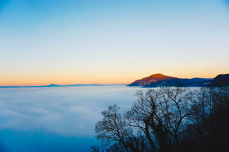 mountain and bare trees during sunrise thumbnail