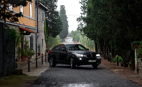 black BMW car parked beside tree thumbnail