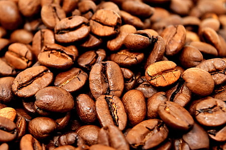 bunch coffee beans thumbnail