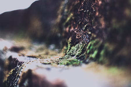 Mountain Illusion Photography thumbnail