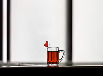 mug, drink, animal, glass thumbnail