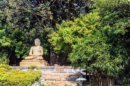 Gautama Buddha Statue in Japan thumbnail