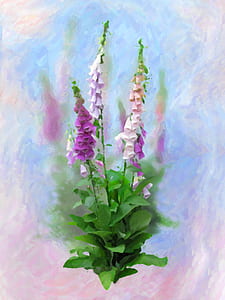 purple and pink flowers thumbnail