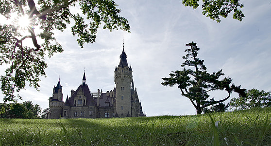 landscape photography of cathedral thumbnail