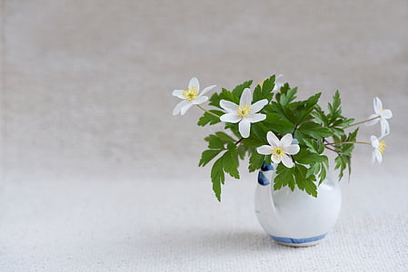 white petaled flowers on white ceramic vase thumbnail