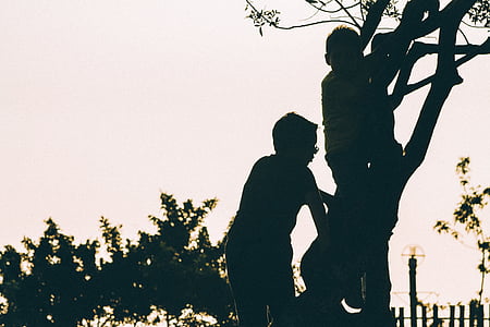 silhouette photo of two boys climbing on tree thumbnail