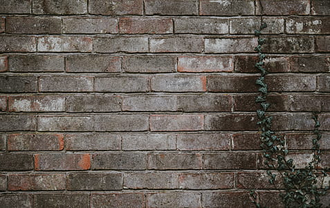 brown concrete wall thumbnail