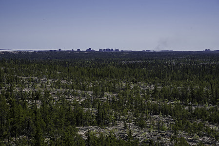 Skyline of Yellowknife in the Distance from the top of the rock outcropping thumbnail