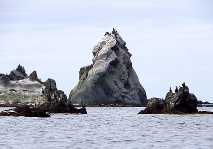 Bird Colonies, Rocks thumbnail