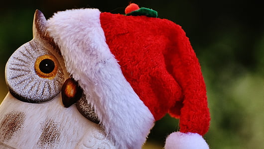 selective focus photography of red and white santa hat thumbnail