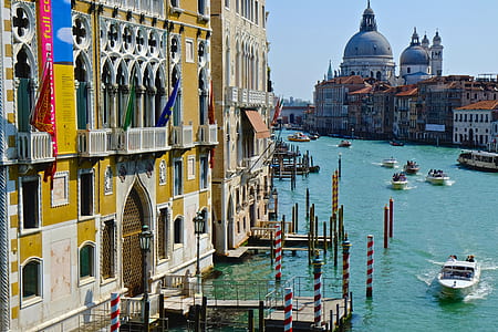 white motorboat on water near buildings] thumbnail