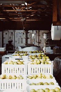 round green fruits on white plastic tray lot thumbnail