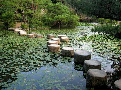 body of water with water lilies and stones surrounded by trees thumbnail