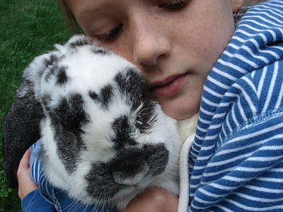 toddler hugging rabbit on green grass thumbnail