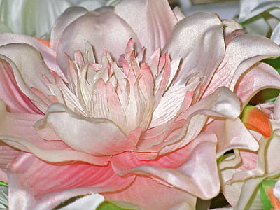 focused photo of white and pink synthetic flower thumbnail