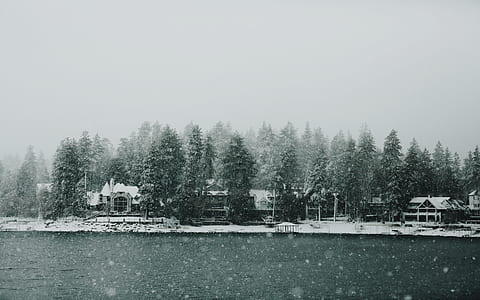 landscape photography of body of water surrounded with trees thumbnail