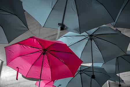 grey and red umbrellas thumbnail