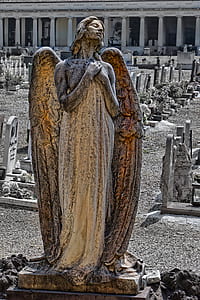 photography of angel statue thumbnail