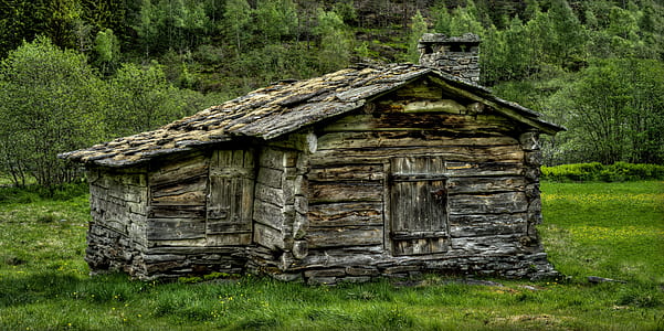 brown and gray wooden cabin surrounded by grass thumbnail