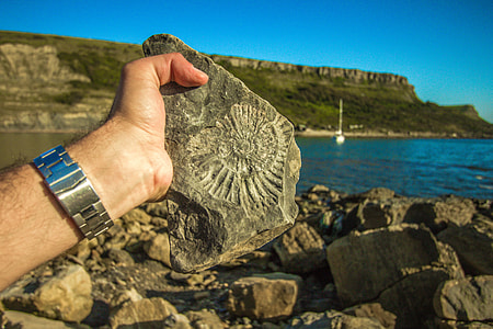 person holding gray rock thumbnail
