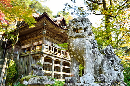 fudog near temple thumbnail