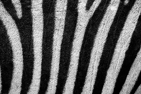 white and black textile thumbnail