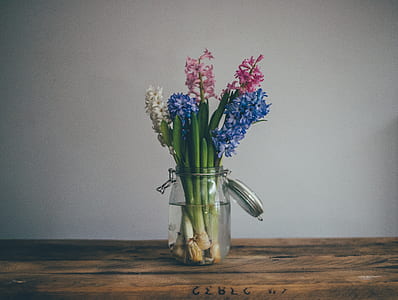 blue, pink, and white flowers in glass mason jar thumbnail