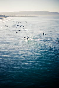 people swimming on sea at daytime thumbnail