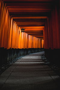 lighted tunnel thumbnail