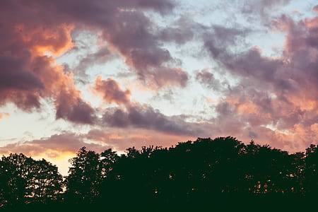Pink sky thumbnail