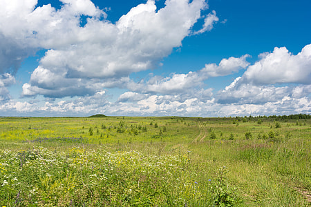 Landscape of the fields under the sky with clouds in Russia thumbnail