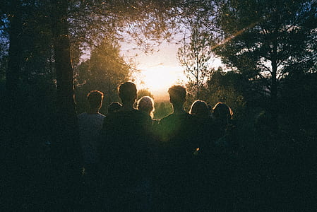 silhouette photography of group of people near trees thumbnail