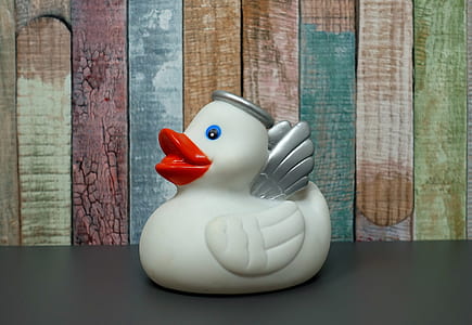 duck with wings jar on surface thumbnail