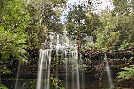 waterfalls and trees thumbnail