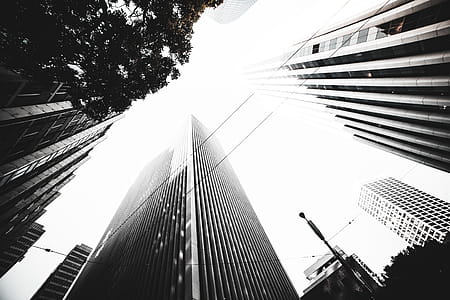 Skyscrapers thumbnail