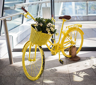 Yellow Bike Plants Flowers thumbnail