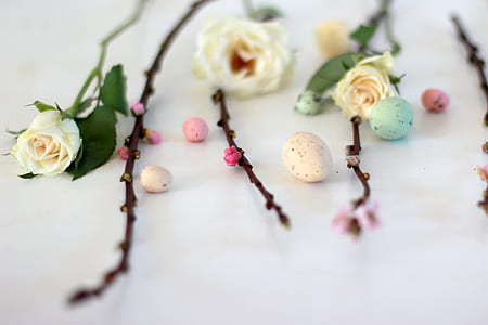 closeup photo of three white roses thumbnail