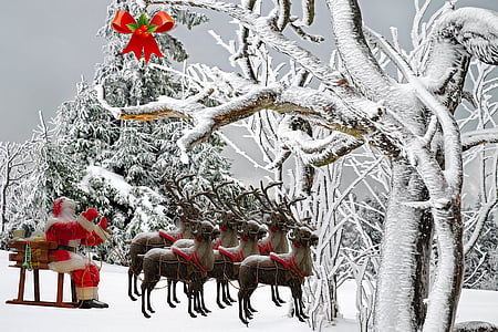 Santa Claus and reindeers thumbnail