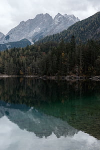 green pine trees on mountain near lake shore at daytime thumbnail