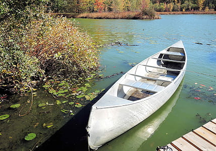 white canoe near dock and bush thumbnail