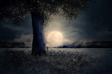 full moon over green foliage tree and field thumbnail