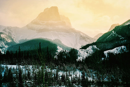 Beautiful Mountains in Jasper National Park, Alberta, Canada thumbnail