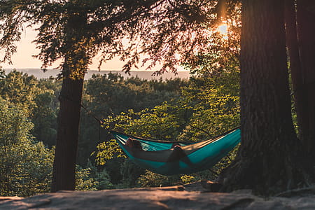 Person Lying on Hammock Between Trees at Daytime thumbnail