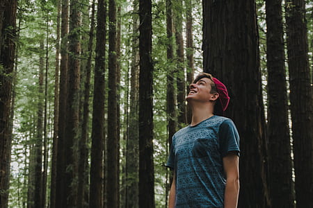 photo of man looking up the trees thumbnail