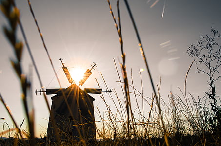 silhouette of windmill during daytime thumbnail