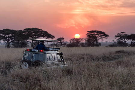 photography of black sport utility vehicle on green grass field thumbnail